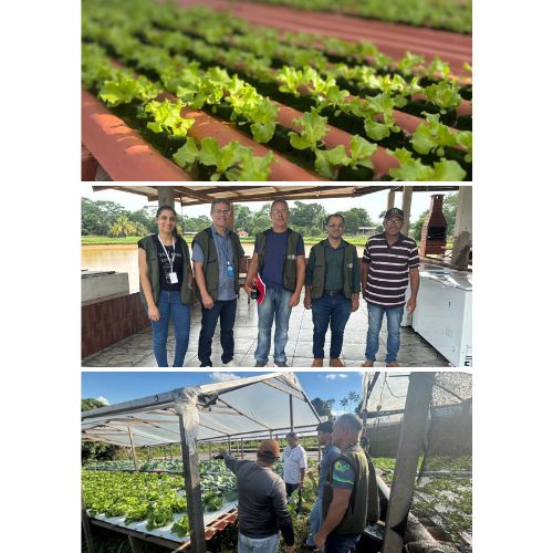 Visitas Técnicas - Fornecedores de Alimentação Escolar