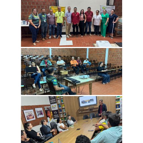 Reuniões do CAEAC