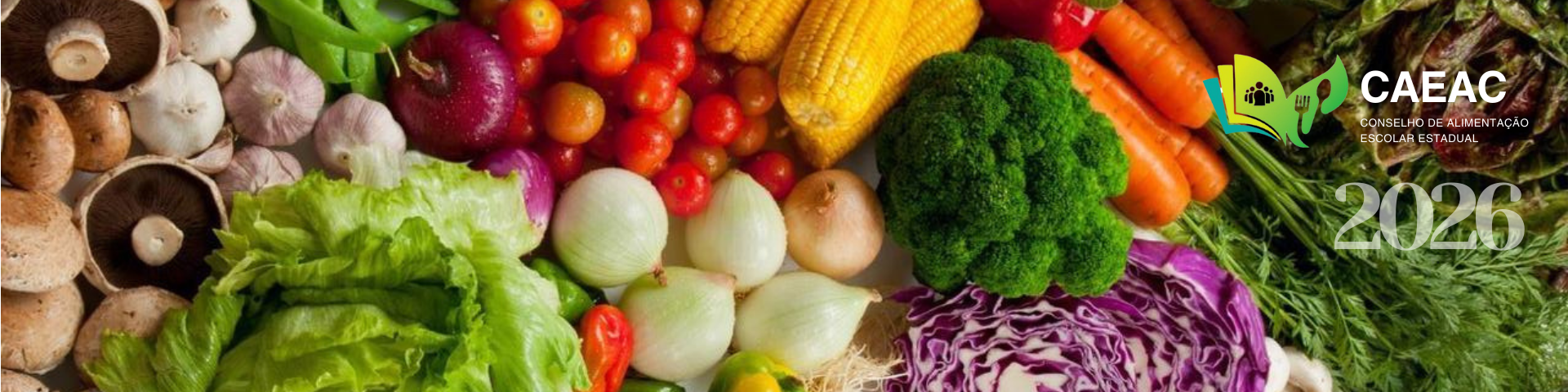 SITE CAEAC - Retangular (1)